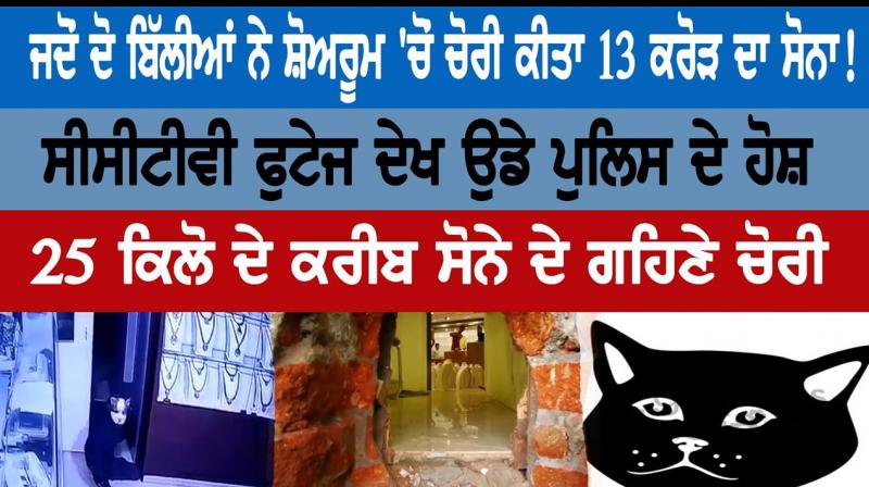 Men Wearing Cat And Dog Masks Rob Crores Men Wearing Cat And Dog Masks Rob Crores