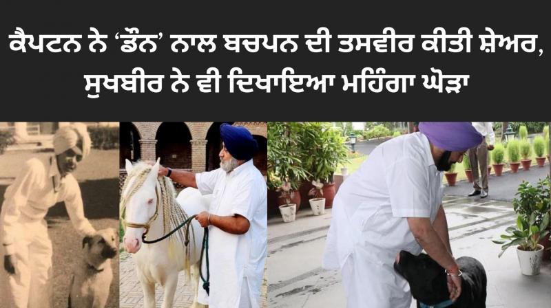 Captain Amarinder Singh and sukhbir singh badal share post on World Animal Day 