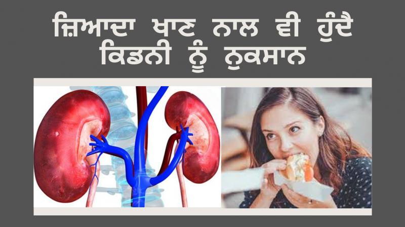 Eating too much can cause kidney damage Eating too much can cause kidney damage