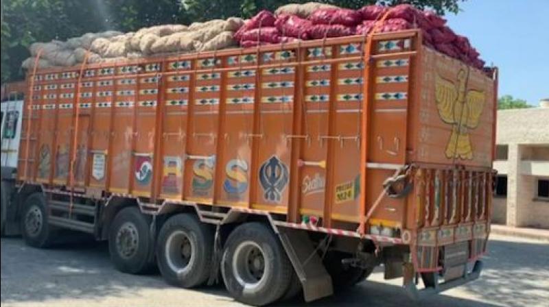 Driver of onion laden truck shot dead in Bathinda