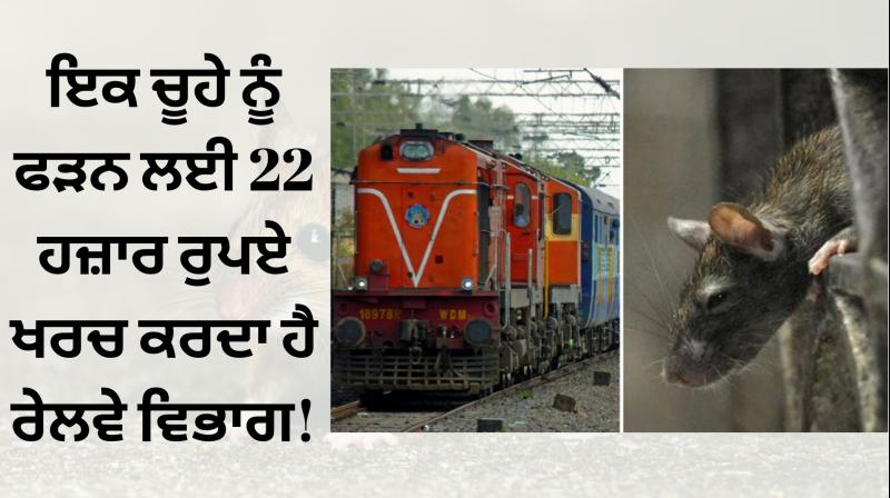 Railway department is spending Rs 22,000 to Catch a rat!