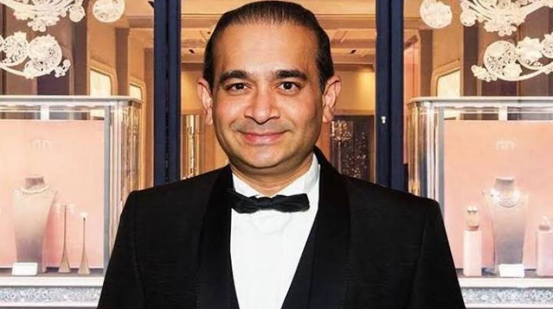 Nirav Modi