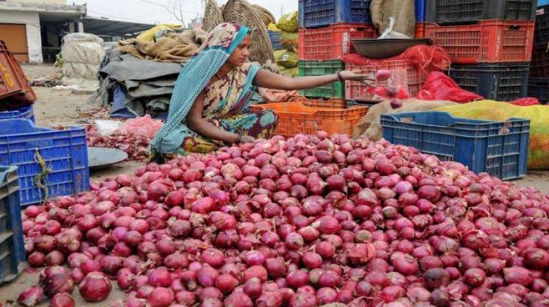 Onion Onion