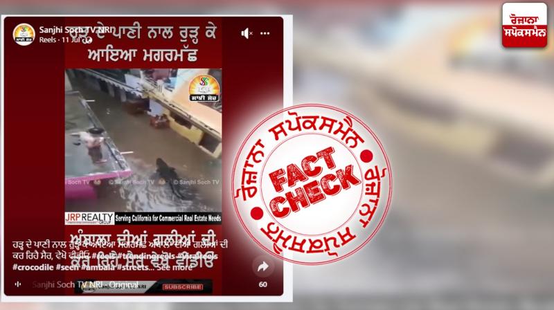 Fact Check Old video of Crocodile roaming in flood water shared in the name of ambala flood situation Fact Check Old video of Crocodile roaming in flood water shared in the name of ambala flood situation