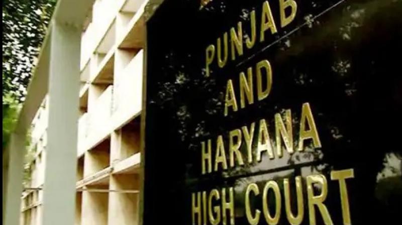 Punjab and Haryana High Court Punjab and Haryana High Court