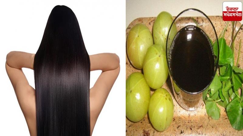 Apply these things mixed with amla oil Apply these things mixed with amla oil