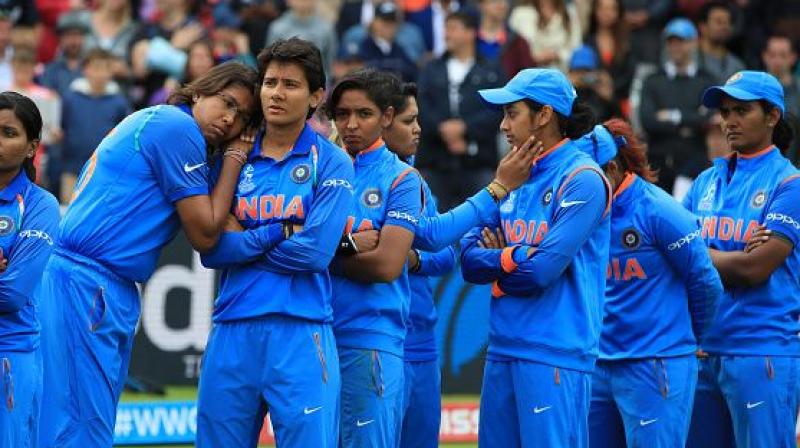 Cricket Cricket