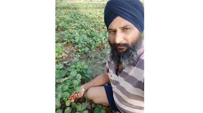 Kissan Kissan