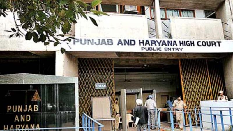 High Court demanded special NDPS courts High Court demanded special NDPS courts