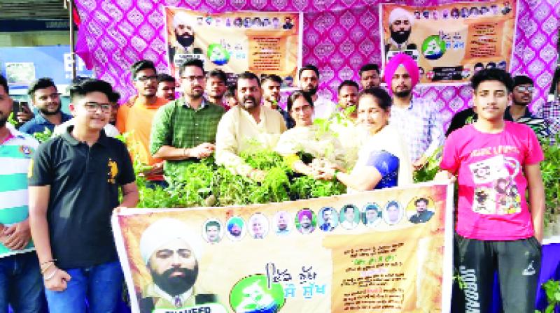 Congress workers distributing saplings