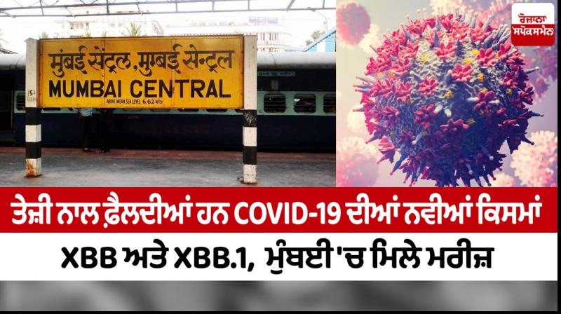 Mumbai: Omicron sub-variants XBB cases found Mumbai: Omicron sub-variants XBB cases found