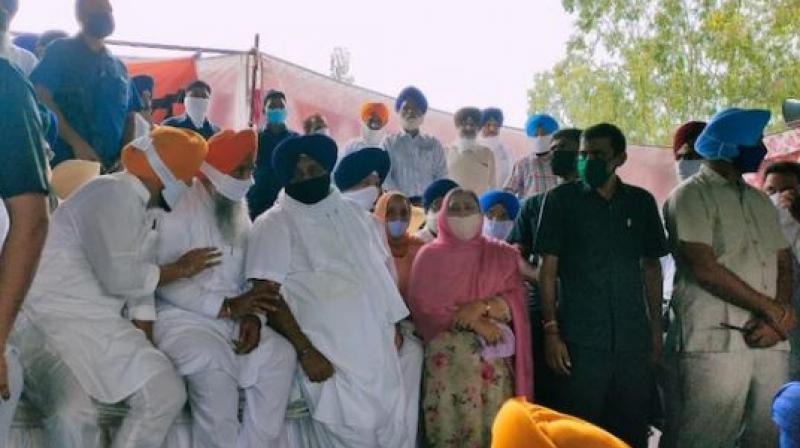 Akali Dal Protest Akali Dal Protest