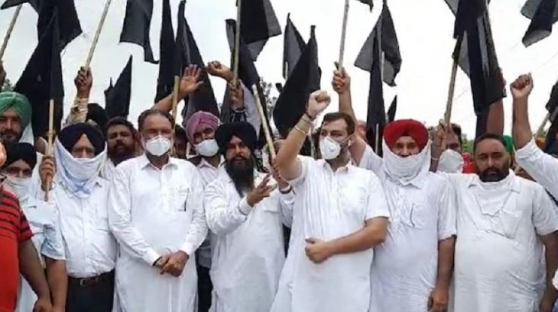 Congress responds sharply to Akali Dal Congress responds sharply to Akali Dal