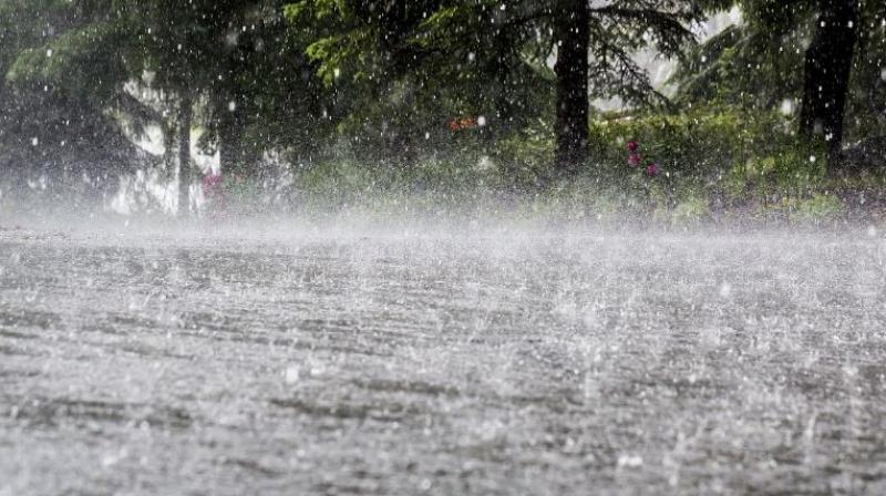 Rain Rain