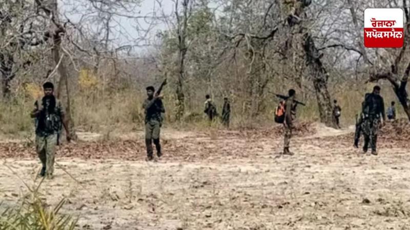 12 Naxalites killed on Chhattisgarh-Maharashtra border Latest News in Punjabi 12 Naxalites killed on Chhattisgarh-Maharashtra border Latest News in Punjabi