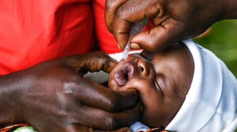 What Is Wild Poliovirus? What Is Wild Poliovirus?