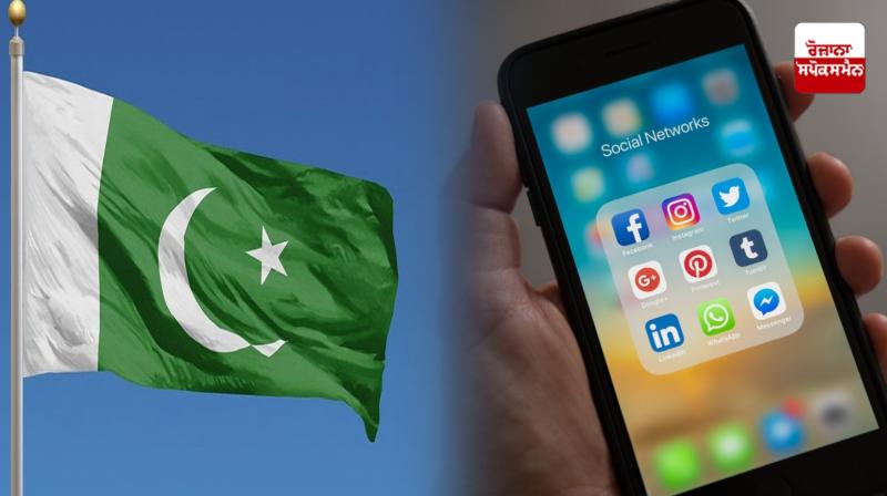 Ban lifted on Pakistani artists' social media accounts News in punjabi 