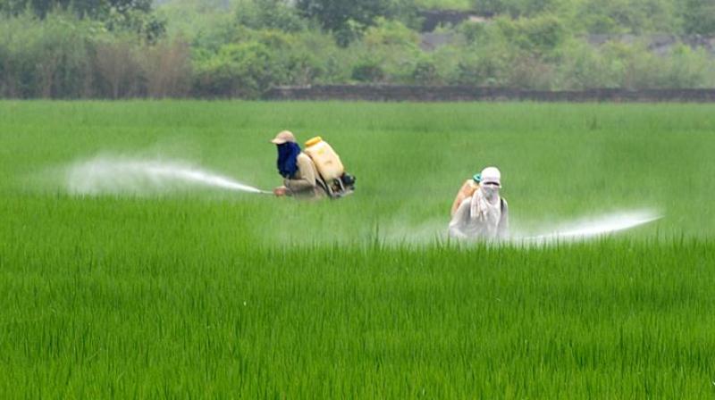 Demand to Ban on artificial pesticides