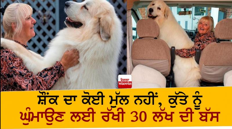 No value for hobby, 30 lakh bus kept for walking the dog No value for hobby, 30 lakh bus kept for walking the dog
