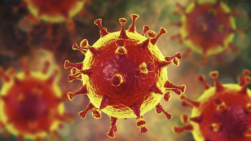 Corona virus Corona virus