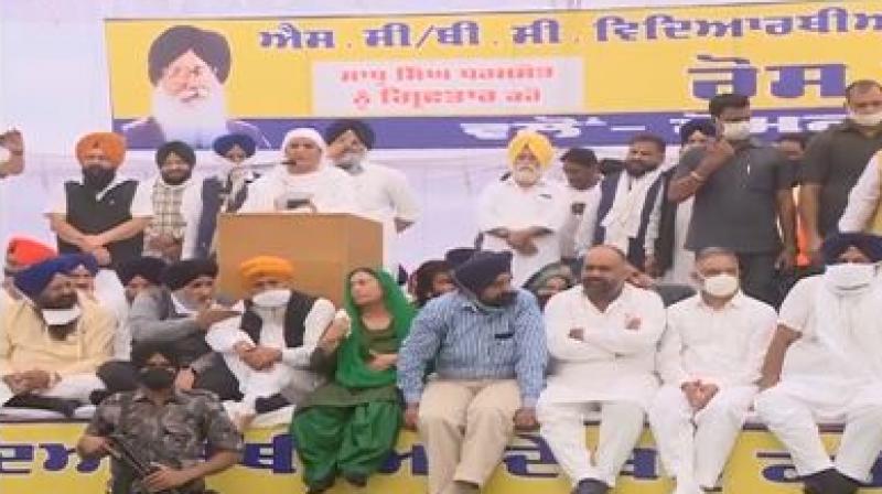 Akali Dal Protest Akali Dal Protest