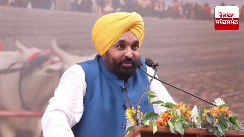 We have had a deep connection with bulls: Chief Minister Bhagwant Mann We have had a deep connection with bulls: Chief Minister Bhagwant Mann