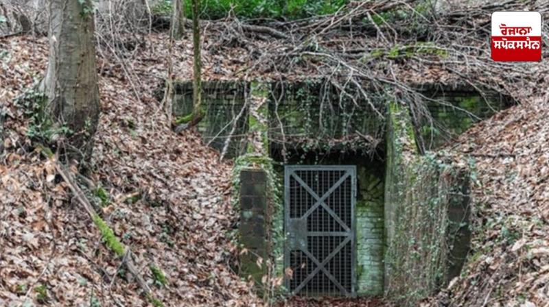 Terrorists building underground bunkers in dense forests Terrorists building underground bunkers in dense forests