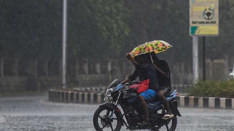 Rain Rain
