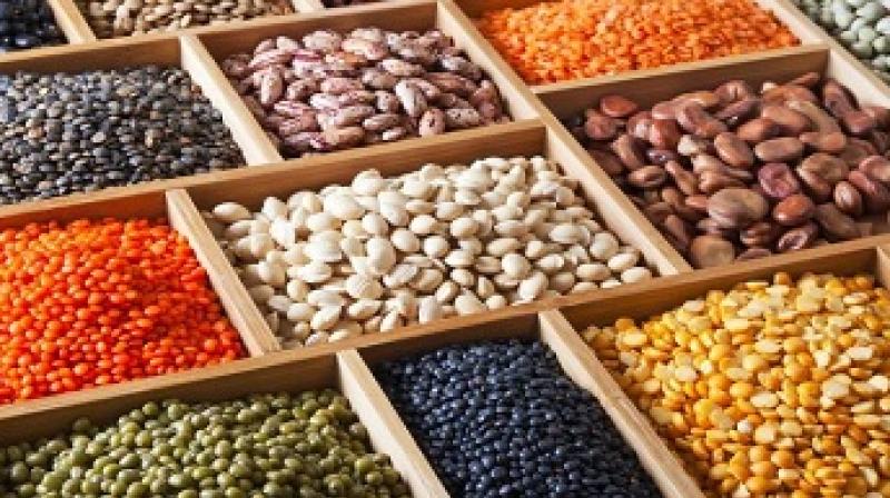 pulses pulses