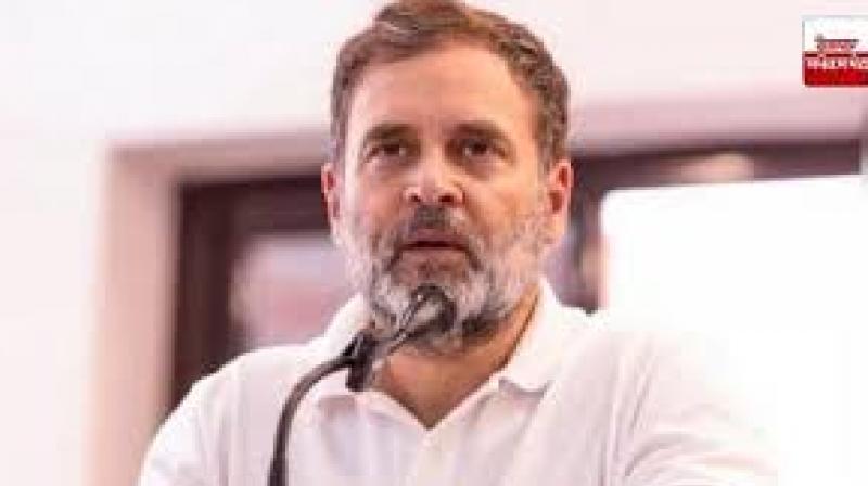 Gujarat model a model of 'vote theft': Rahul Gandhi Gujarat model a model of 'vote theft': Rahul Gandhi