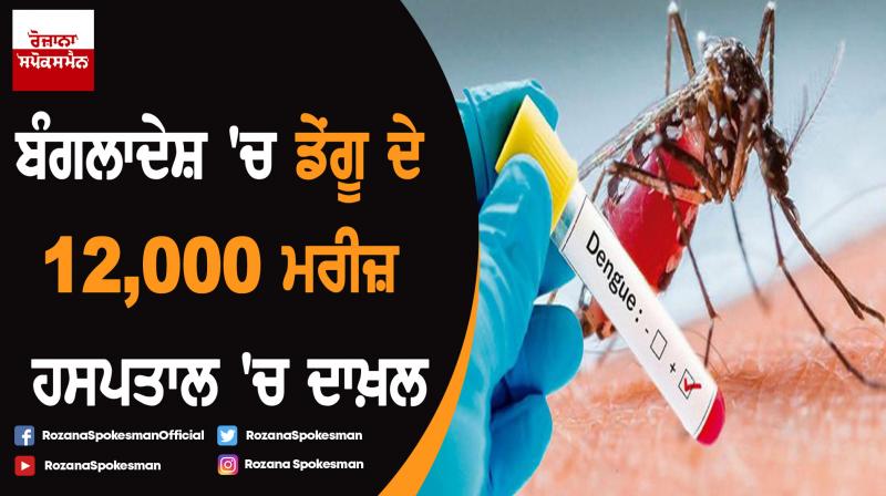 12000 dengue patients hospitalised in Bangladesh 