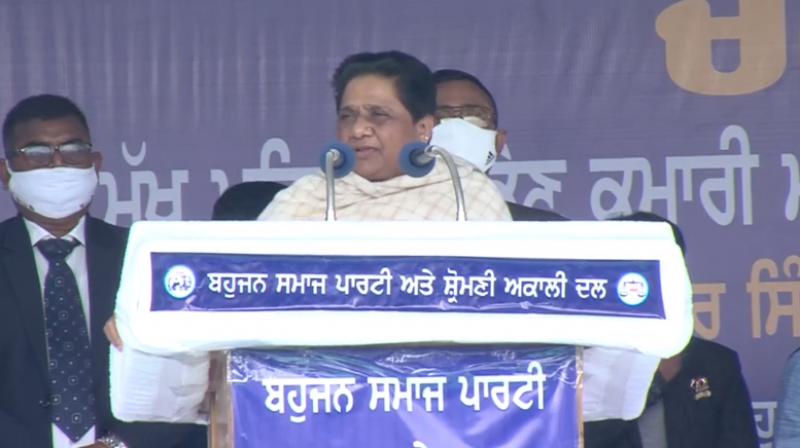 Mayawati address rally in Nawanshahr Mayawati address rally in Nawanshahr