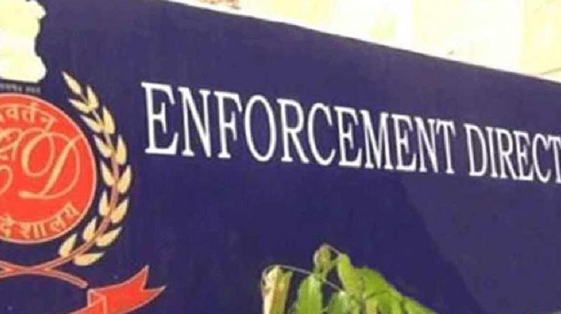 ED raids Gujarat, Delhi locations in case against agents aiding illegal immigration racket ED raids Gujarat, Delhi locations in case against agents aiding illegal immigration racket