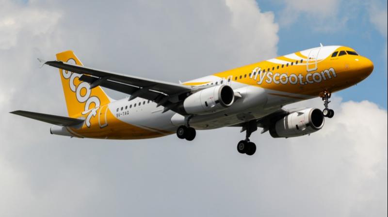 Scoot Airlines Scoot Airlines