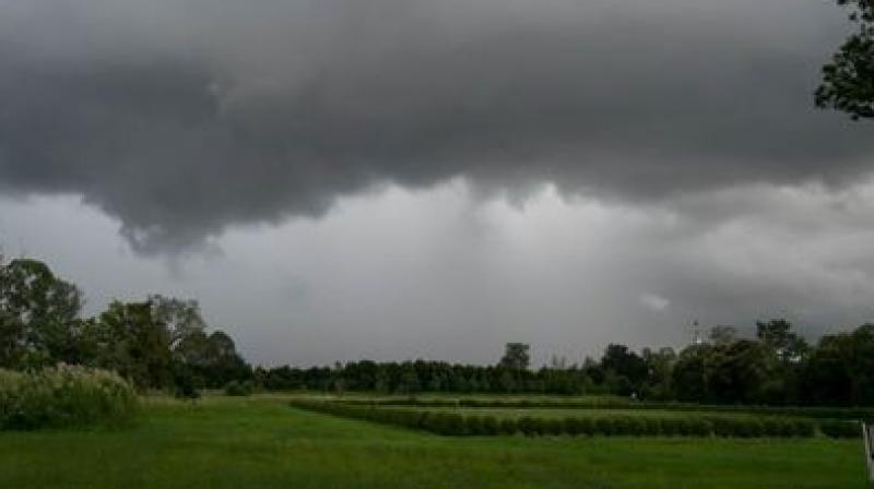 Rain in Punjab 