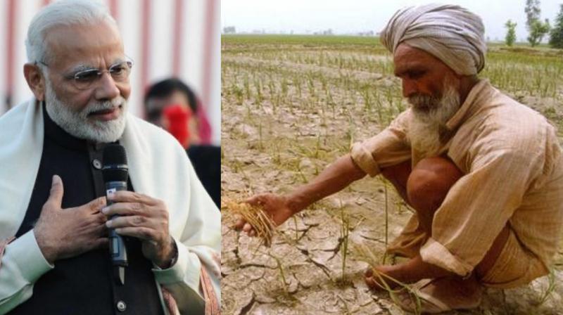 Narendra Modi, Farmer Narendra Modi, Farmer