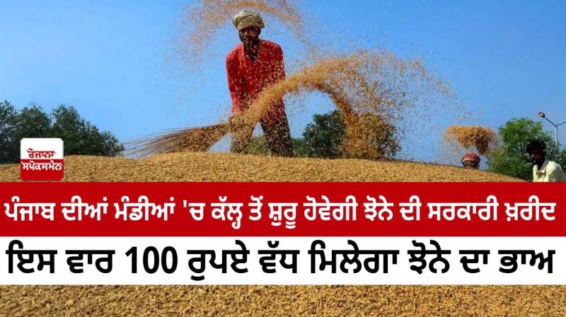 Government purchase of paddy will start from tomorrow in the mandis of Punjab Government purchase of paddy will start from tomorrow in the mandis of Punjab