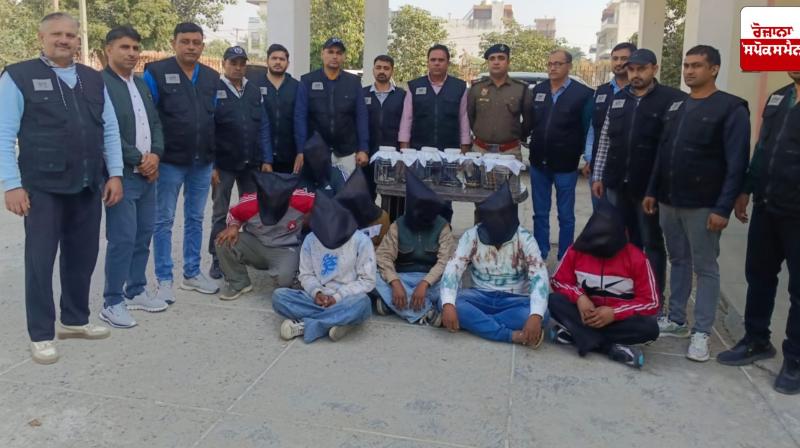 Sonipat STF arrests 7 sharp shooters of Rohit Godara gang