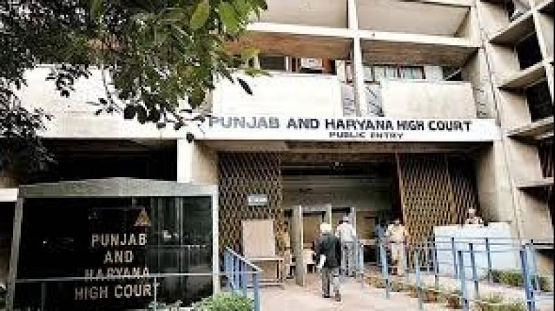 Punjab Haryana High Court Punjab Punjab Haryana High Court Punjab