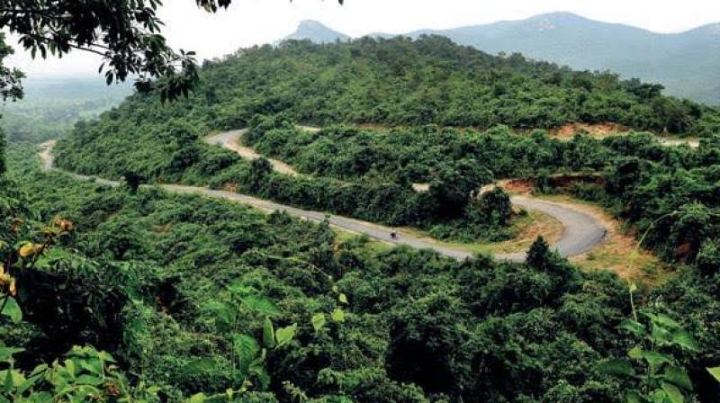 Weekend vacation destinations near kolkata Weekend vacation destinations near kolkata