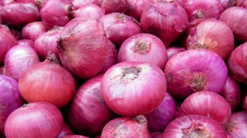Government gives order to import 1 lakh tonnes of onion