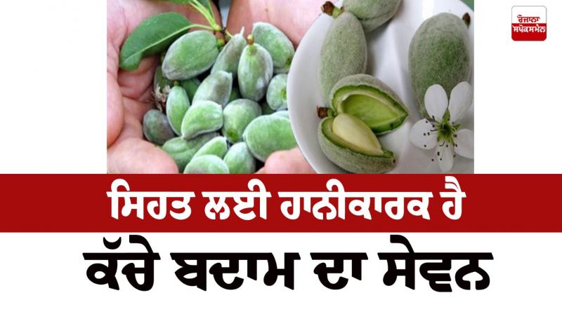 Consuming raw almonds is harmful to Health News Consuming raw almonds is harmful to Health News
