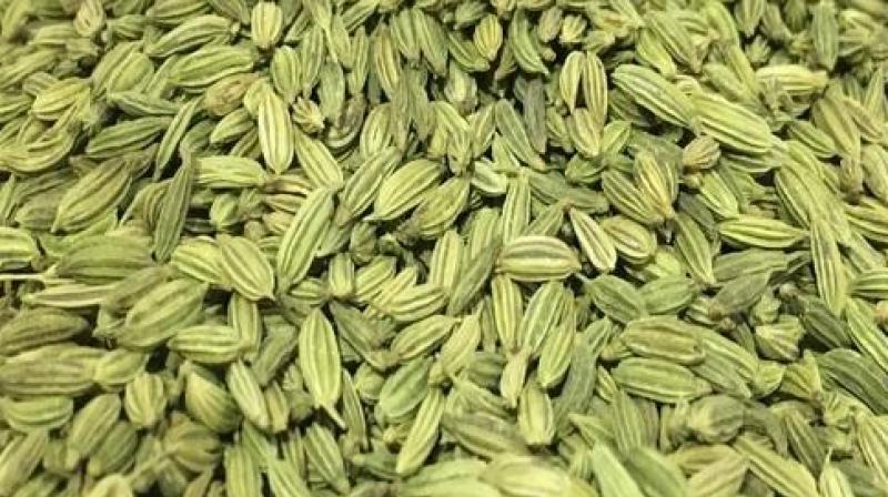 Fennel Seeds