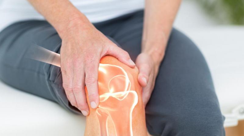 Joints Pain Joints Pain