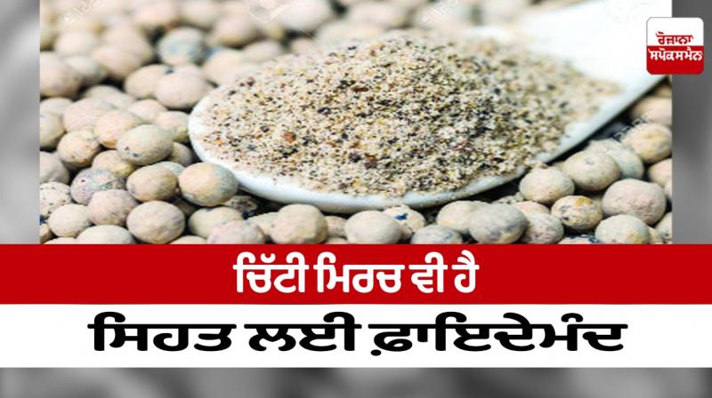 White pepper is also beneficial for health White pepper is also beneficial for health