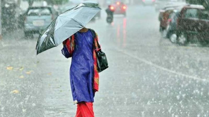 Rain Rain
