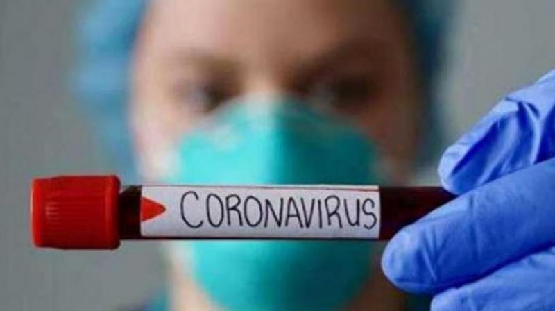 Corona Virus Corona Virus
