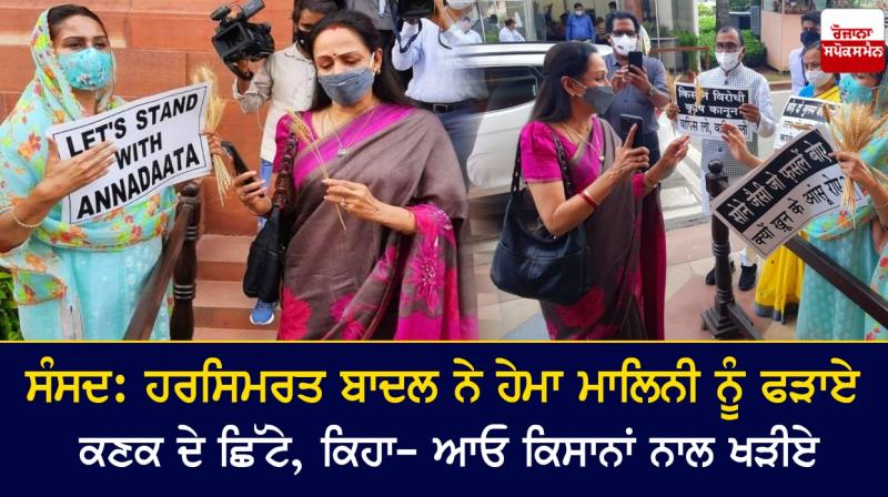 Parliament: Harsimrat Badal Sheds Wheat Splinters To Hema Malini Parliament: Harsimrat Badal Sheds Wheat Splinters To Hema Malini