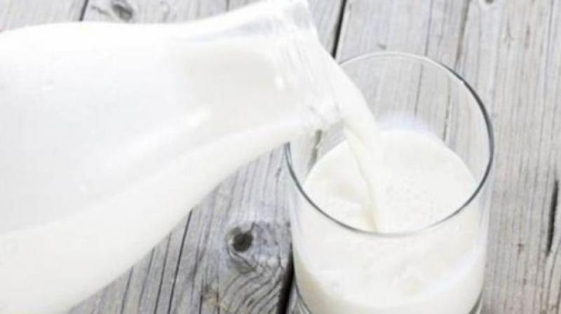 Milk Powder Milk Powder