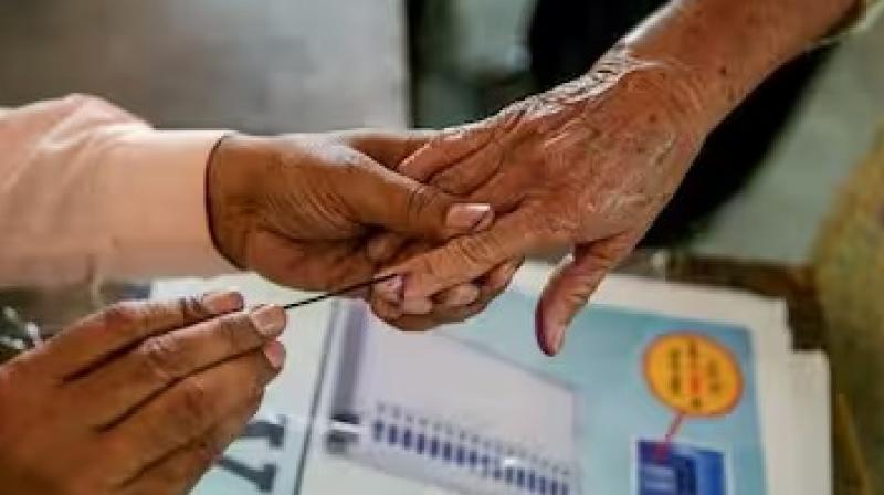 Punjab Voters Age Data 